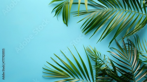 Palm leaves on blue background. Copy space for your text, Blurred shadow from palm leaves on the light blue wall Minimal abstract background for product presentation Spring and summer