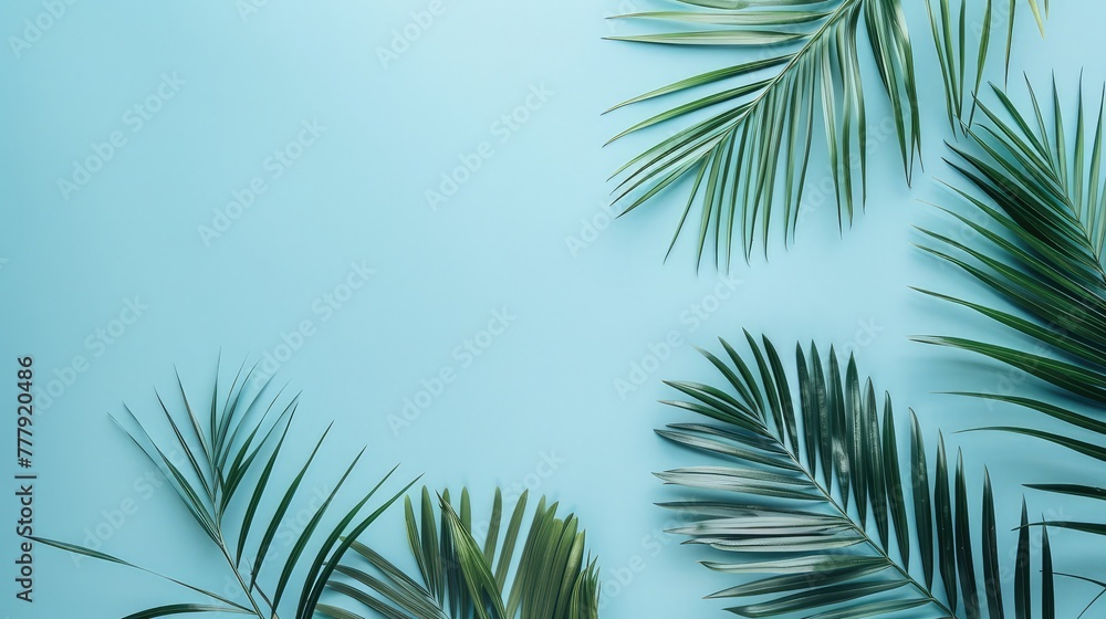 Palm leaves on pastel blue background. Summer concept. Flat lay, top view, copy space ,abstract modern minimal background.