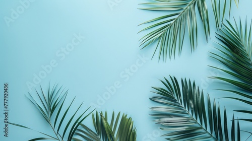 Palm leaves on pastel blue background. Summer concept. Flat lay  top view  copy space  abstract modern minimal background.