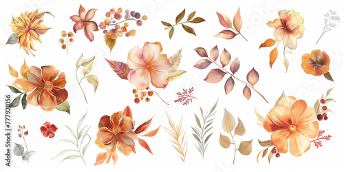 Colorful Autumn Botanical Illustration Collection