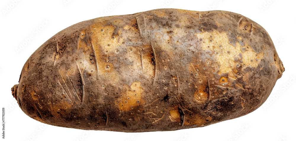 A large potato with a brownish skin, cut out - stock png. A large potato with a brownish skin, cut out - stock png.
