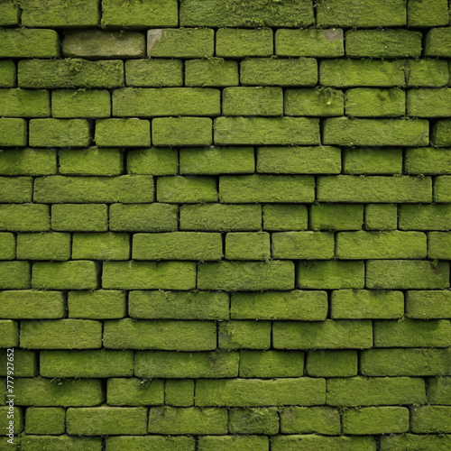 mossy aged brick wall texture and background covered by moss with