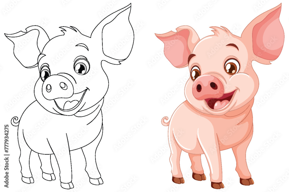 Black and white and colored piglet vector illustrations.