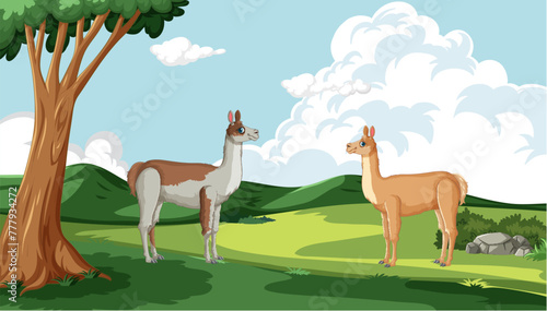 Two llamas standing in a peaceful green field