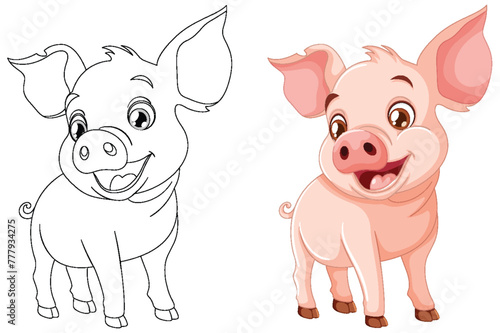Black and white and colored piglet vector illustrations.