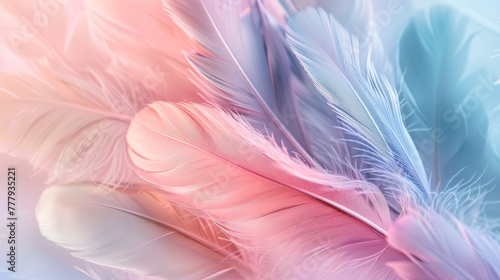 Beautiful pastel colored feathers phone wallpaper  hyper realistic detailed in the style of photography. Art  abstract  and beautiful background.
