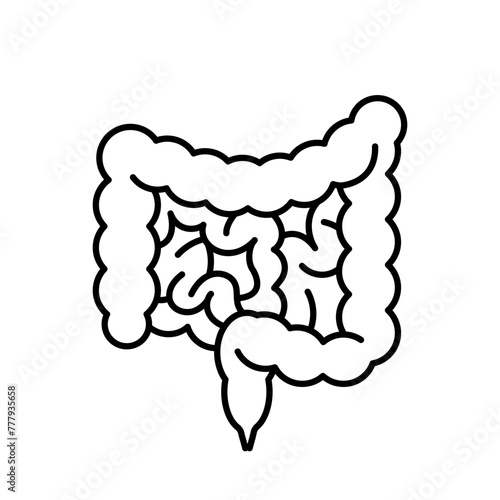 Intestines, linear icon. Digestive system, anatomy of human. Linear illustration, thin line, editable stroke. Infographic symbol.