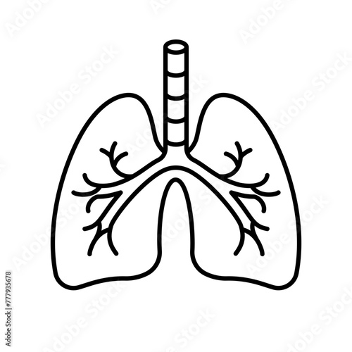 Lungs, linear icon. Breathing concept. Linear illustration, editable stroke, thin line.