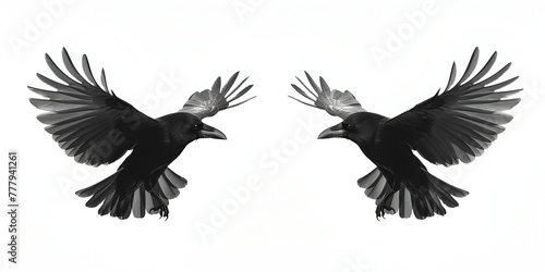 isolated black and white illustration of a flying bird crow front. generative ai  photo