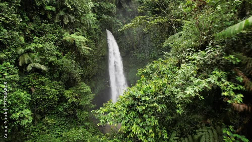 Flying close with hanging plants to powerful waterfall, scenic shot of natural landmark at Bali Island. Thickets of tropical bushes covering all canyon. Massive amount of water falling down in gorge Flying close with hanging plants to powerful waterfall, scenic shot of natural landmark at Bali Island. Thickets of tropical bushes covering all canyon. Massive amount of water falling down in gorge
