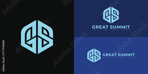 Abstract initial hex letter GS or SG logo in blue color isolated on multiple blue background colors. The logo is suitable for marketing conference business logo icons to design inspiration templates.