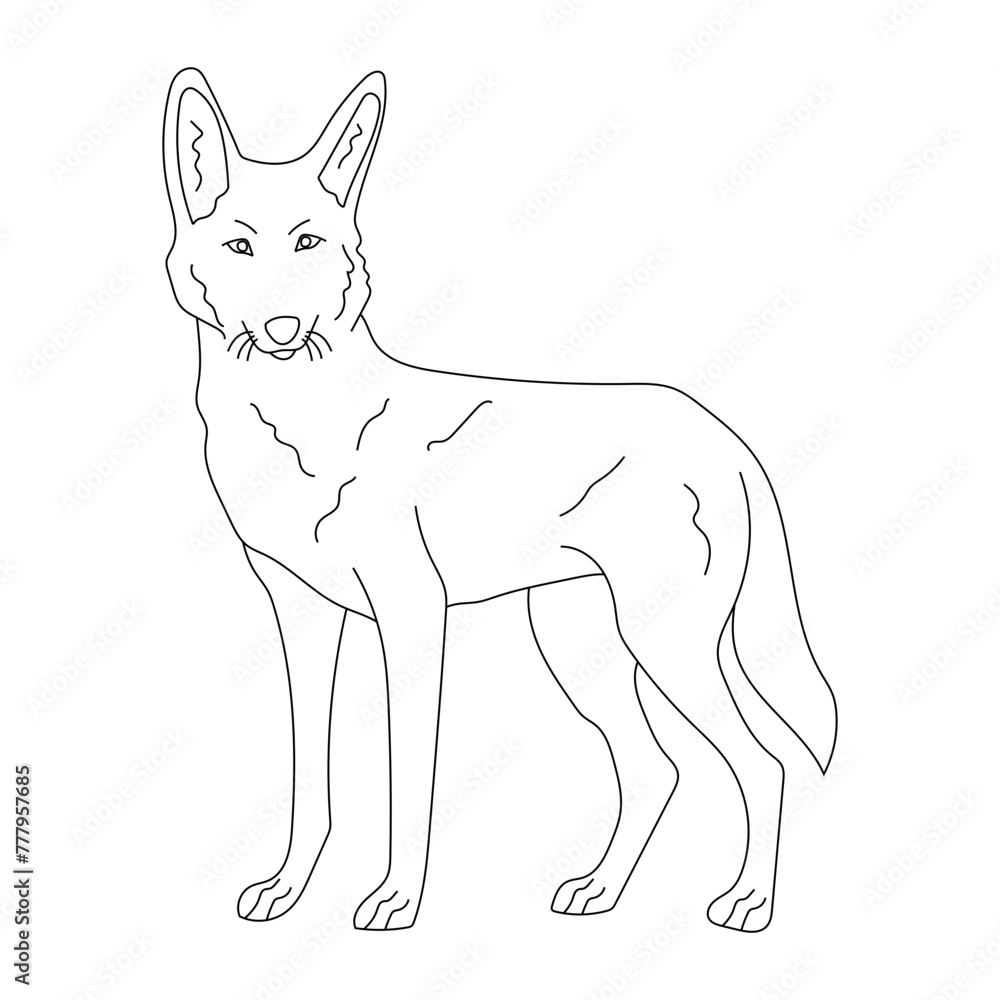 Wolf Clipart for Wildlife and Wild Animals Lovers. Cartoon Wolf Clipart