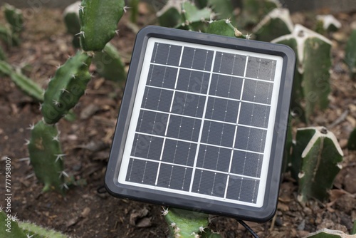Solar panel with cactus farm