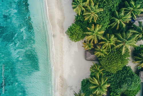 Photo relaxing aerial beach scene summer vacation holiday template banner perfect aerial drone top view - Generative ai © Nia™