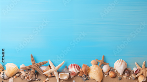 Sea shells and starfish on blue wooden background with text space, Beach summer concept