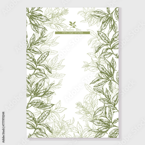 Green tea branch with leaves Border, frame, template for menu page, product label, cosmetic packaging. Vector illustration. In botanical style