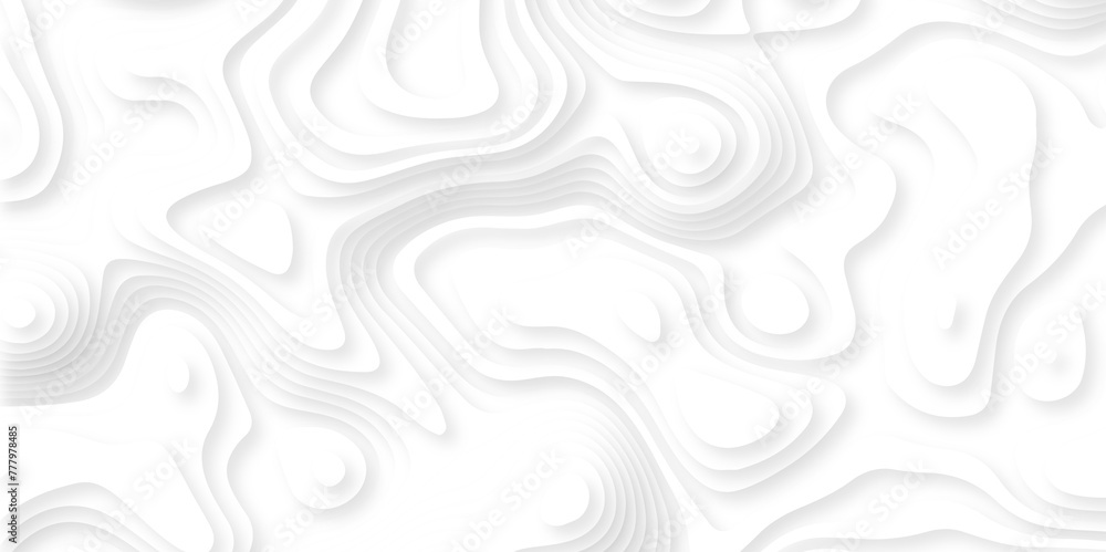 Abstract white paper cut background with lines. Background of the topographic map. White wave paper curved reliefs abstract background. Realistic papercut decoration textured with wavy layers. Abstract white paper cut background with lines. Background of the topographic map. White wave paper curved reliefs abstract background. Realistic papercut decoration textured with wavy layers.