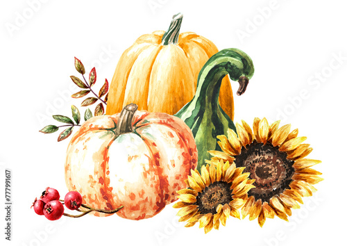 Autumn composition with pumpkins, sunflower flowers and red berries. Hand drawn watercolor illustration, isolated on white background  © dariaustiugova