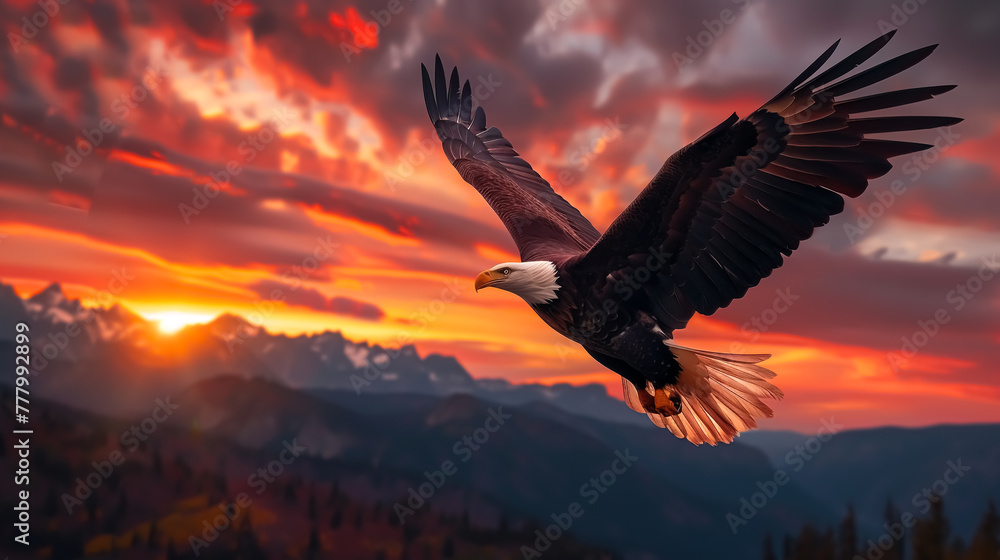 Fototapeta premium Majestic Bald Eagle Soaring Amidst a Vibrant Sunset in the Wilderness.