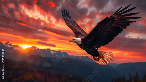 Majestic Bald Eagle Soaring Amidst a Vibrant Sunset in the Wilderness. © Khanom