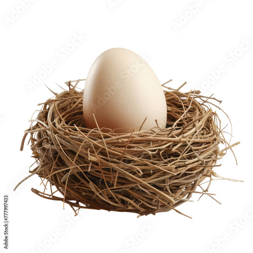 Nest with egg isolated on transparent background