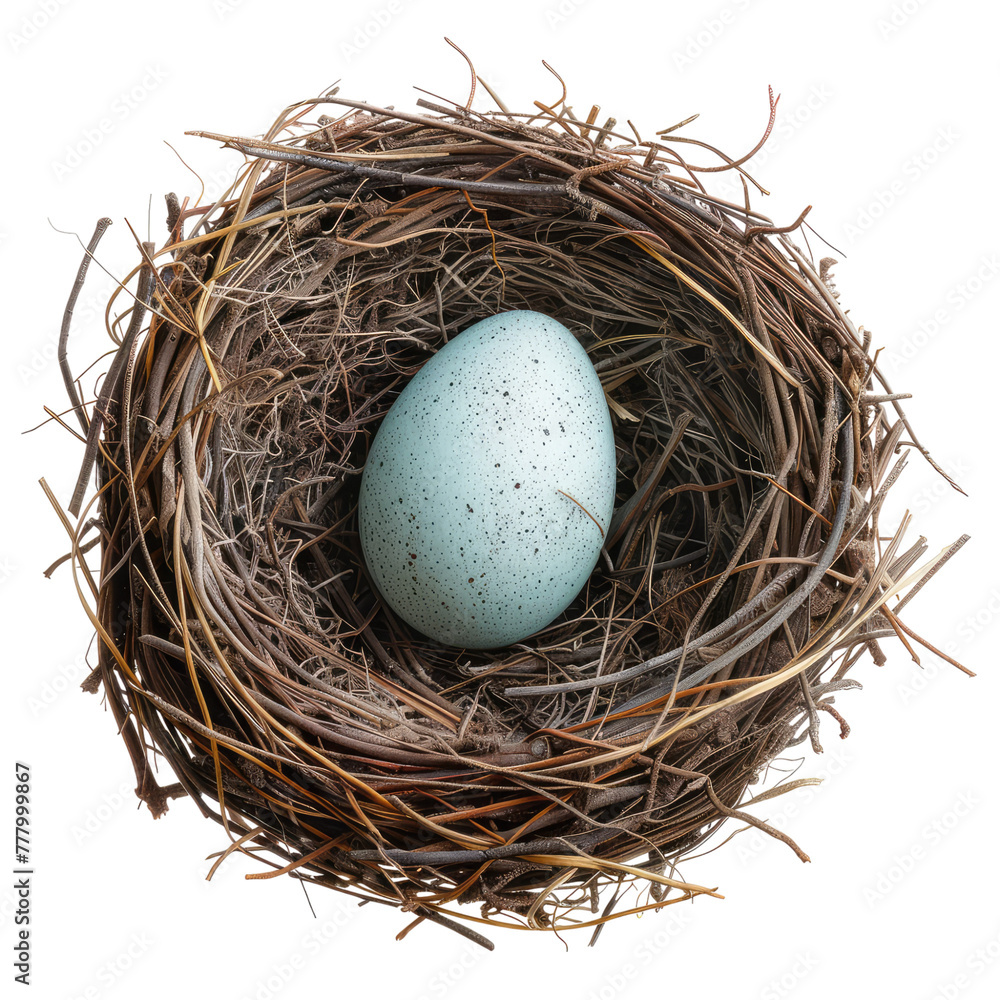 Nest with egg isolated on transparent background Nest with egg isolated on transparent background