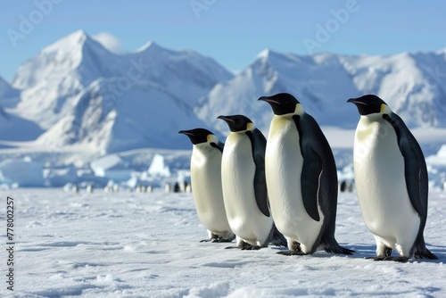 A group of Emperor Penguins in the snow-filled expanse of Antarctica, Penguins walking in the snow A group of king penguins, AI generated © Tanu