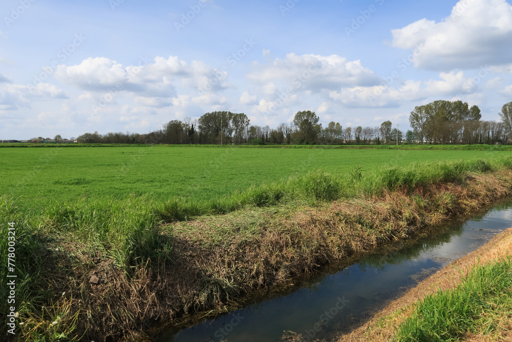 Po Valley landscape fields crops farmstead wheat sky
