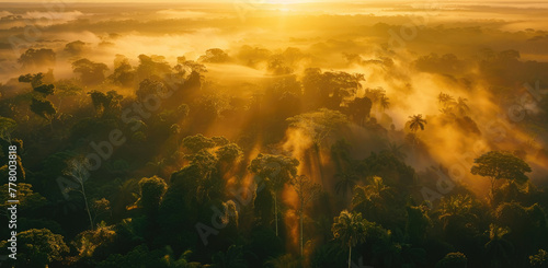 A breathtaking aerial view of the Amazon rainforest at sunrise  with mist rising from its canopy and golden sunlight filtering through the trees.