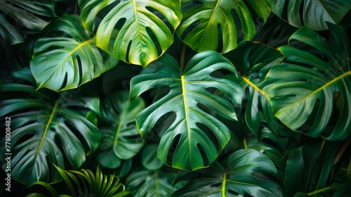 Square Paper Surrounded by Green Leaves