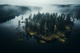 Aerial view of Misty Forest Lake. Generative AI
