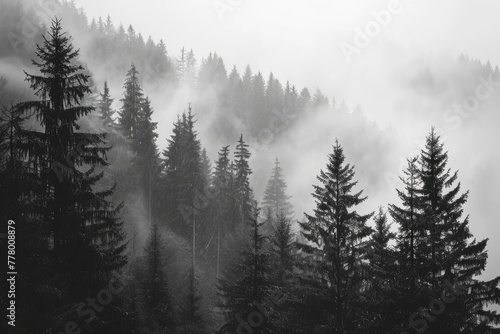 A misty pine forest shot in monochrome view, AI generated photo