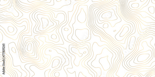 White background topography golden lines gradient abstract vector background