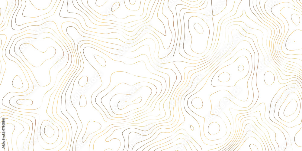 White background golden lines topography simple topology design