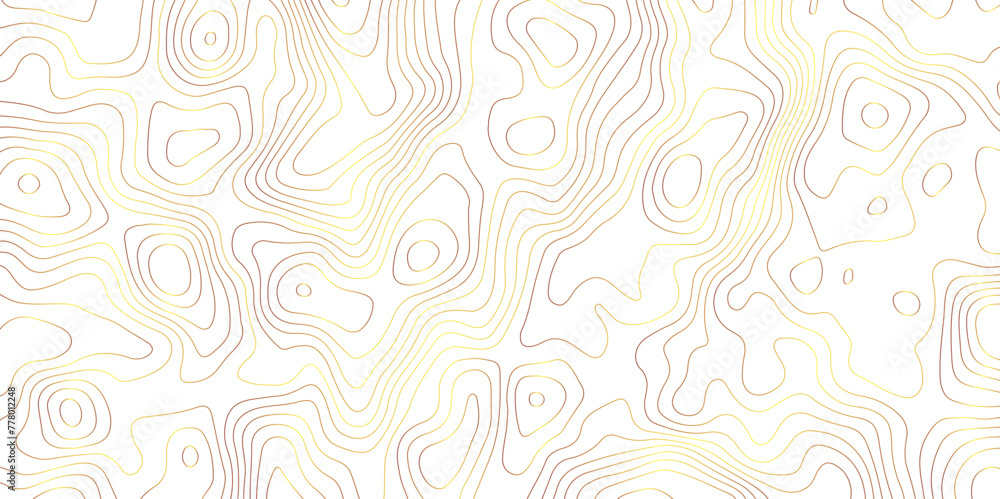 White and gold topology contour map design vector for print works