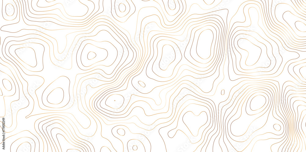 White and gold topology contour map design vector for print works