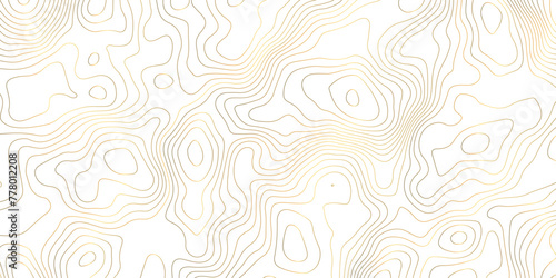 White and gold topology contour map design vector for print works