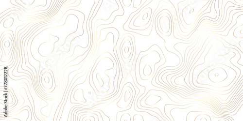 White and gold topology contour map design vector for print works photo