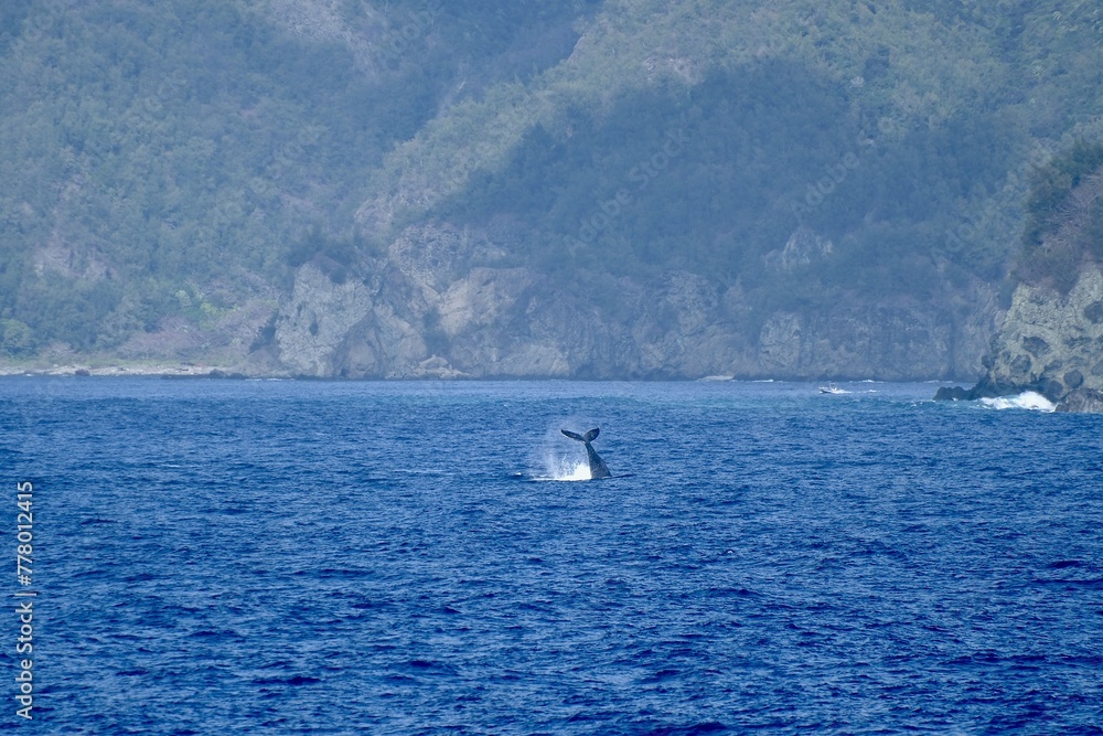 Obraz premium 【東京】小笠原諸島の風景