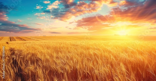 Golden Sunset  Wheat Field in the Countryside
