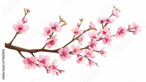 Branch of pink blossoming sakura. Japanese cherry tree