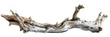 A piece of driftwood from the sea, isolated on a white background or transparent