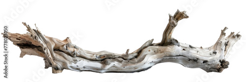 A piece of driftwood from the sea, isolated on a white background or transparent © Teppi