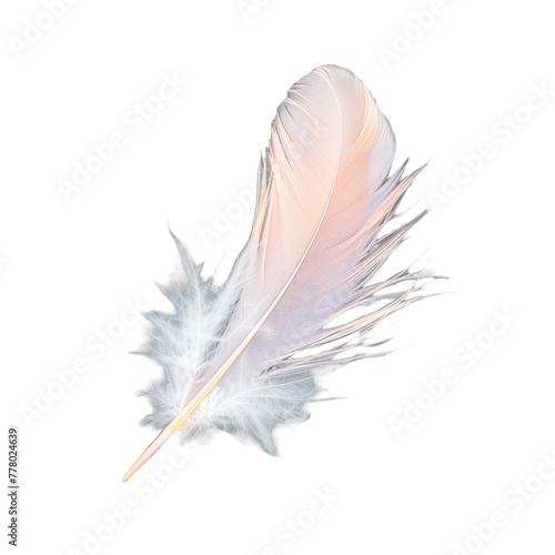 Black and white feathers on Transparent Background photo