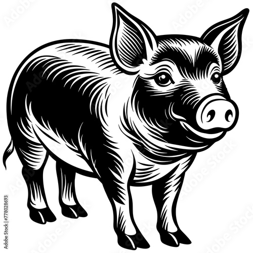 illustration of pig