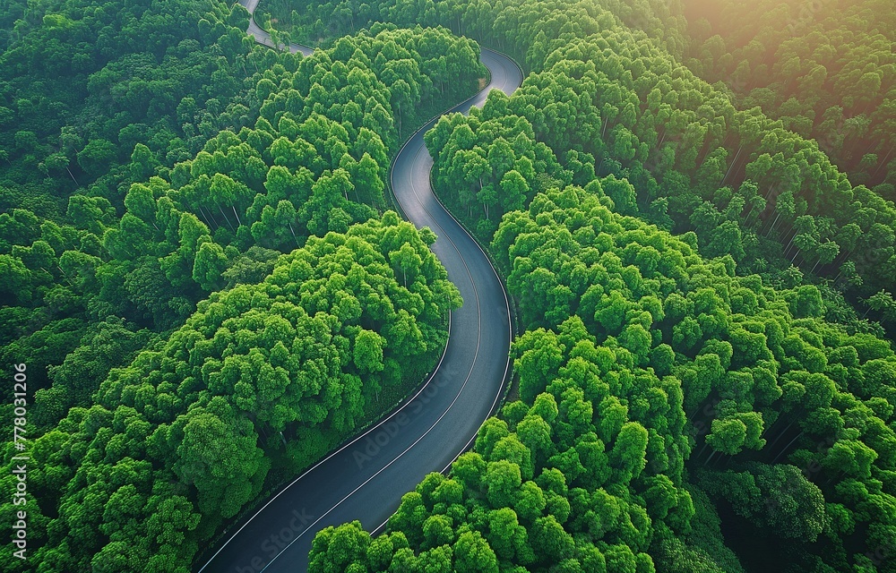 top view from above lovely road with curves in a green woodland