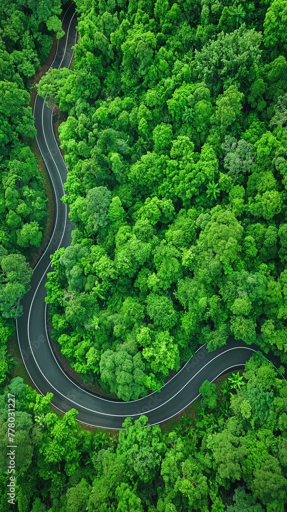 top view from above lovely road with curves in a green woodland top view from above lovely road with curves in a green woodland