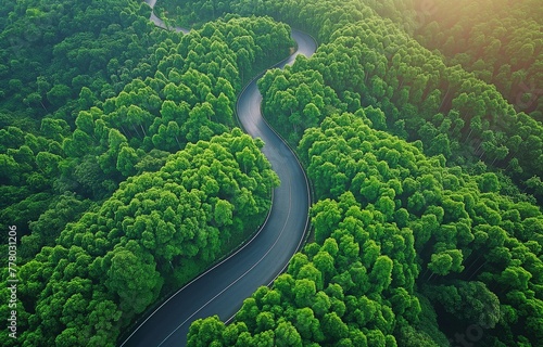 top view from above lovely road with curves in a green woodland