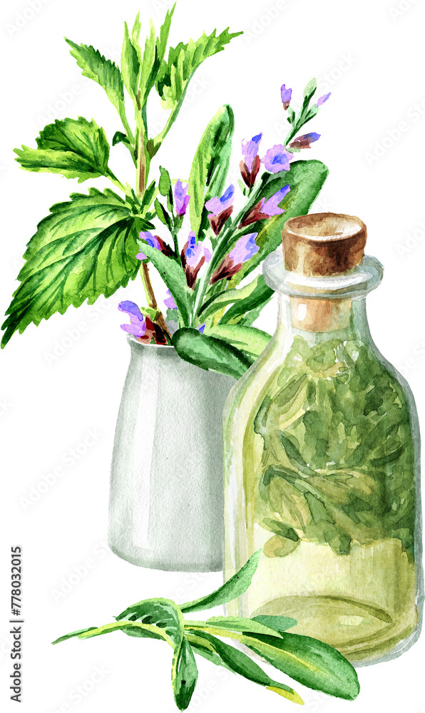 Herbal homemade organic tincture from fresh sage leaves. Hand drawn watercolor illustration isolated on white background Herbal homemade organic tincture from fresh sage leaves. Hand drawn watercolor illustration isolated on white background