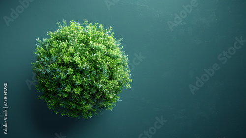Top view of Plant. Tree illustration vector.
